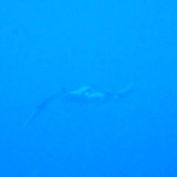 Manta, März 2005