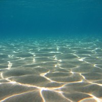 Der Strand im Flachwasserbereich, Mai 2007