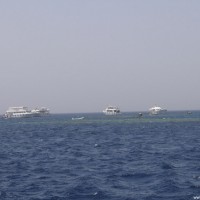 Viele Tauchboote am Shark & Yolanda Reef, Mai 2007