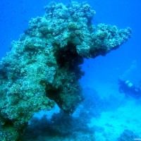 Korallenblock, September 2002
