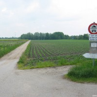 Hier muss geparkt werden, allerdings darf zum ent- und beladen an den Weiher gefahren werden, Mai 2004