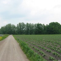 Im Hintergrund der Weiher, Mai 2004