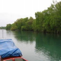 Blick von Einstieg 1 Richtung Einstieg 2, man erkennt außerdem die Spitzen des Unterwasserwaldes, Mai 2005