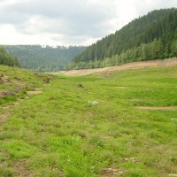 Blick von der Begrenzungsmauer Richtung Zulauf, August 2002