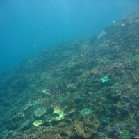 Eher trübes Wasser und wenig Korallen, Oktober 2007