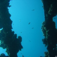 Blick hinaus aus dem Wrack, September 2007