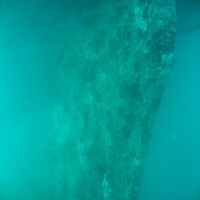 Das Ruder der Coreolanus auf knapp 30 Metern Tiefe, September 2005