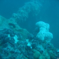 Korallen wohin das Auge blickt, September 2005