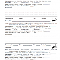 SSI Dive Log - 3 Tauchgänge pro Seite v2