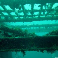 Dry Dock (künstlich versenktes Trockendock), Oktober 2003